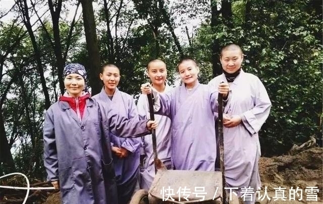 寺庙！30名研究生放弃百万年薪，组团出家当和尚，如今现状如何？