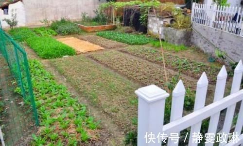 楼层|不少人心目中的黄金楼层竟然是这一层看完分析后悔房买早了