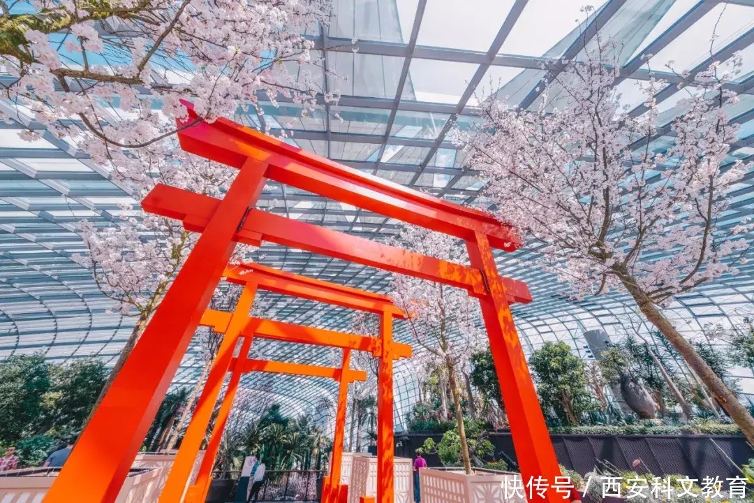 滨海湾樱花祭，Hello Kitty和你一起赏樱花~|新加坡生活|滨海湾樱花祭，Hello Kitty和你一起赏樱花~\＂,\＂i10\＂:\＂新加坡生活