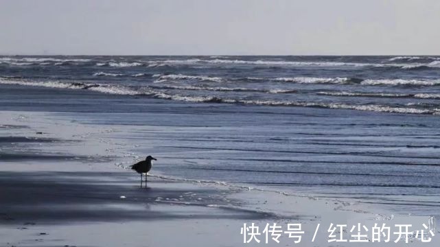 |年度挤进前十名的微信段子,笑死了,一起来看看吧