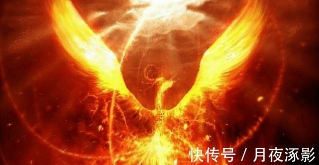 火凤凰|斗罗大陆远古凤凰的五种形态,不弱于龙武魂,黑暗凤凰最凶悍