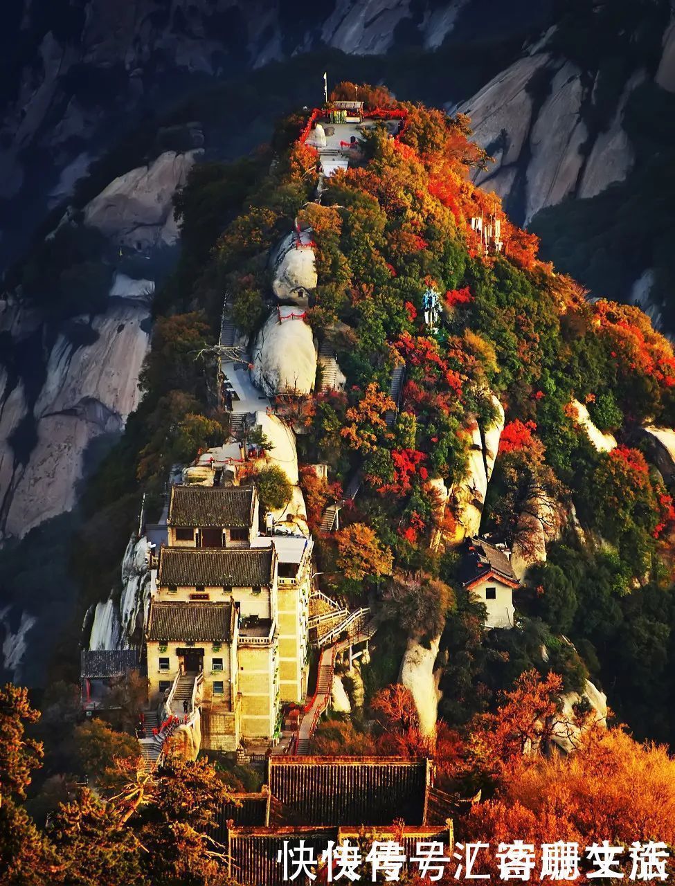 满山|秦岭深处满山红遍，绚丽多彩，惊艳着整个秋天