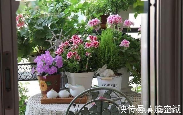 造园|7㎡迷你“阳台造园”小阳台这样布置,也能美成的花园!
