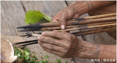 专家|古代打仗,弓箭手为何把箭在粪便里浸泡一下再射,专家:不得不泡