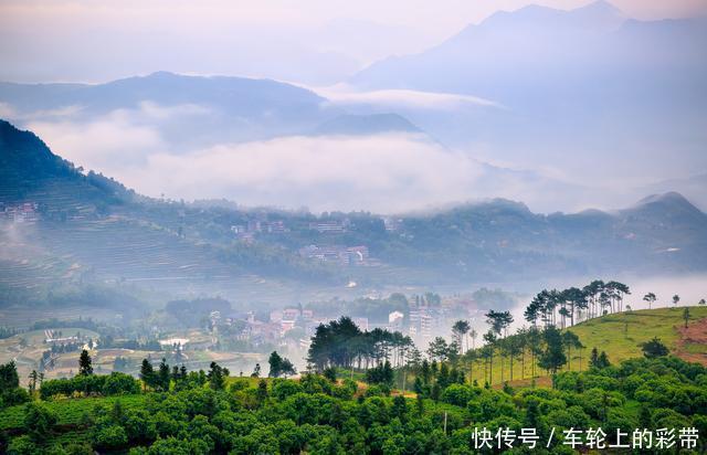 诗词丨芳菲随春去，葱茏入夏来