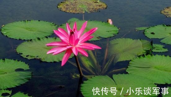 旧爱|1周后,桃花重现,前任回归,携手旧爱,真心相随,收获命中姻缘