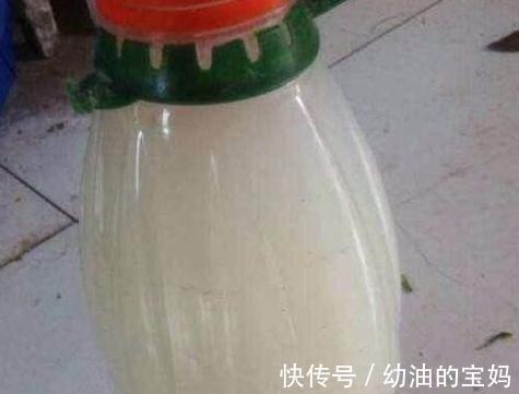 初冬养花,盆中浇3种营养液,花开又大又艳,叶油亮土疏松