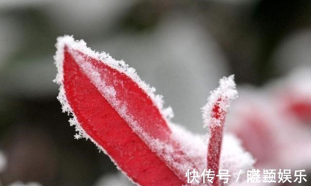 大吉大利|一个人，一旦有这3个表现，预示着人生将越来越好，大吉大利！