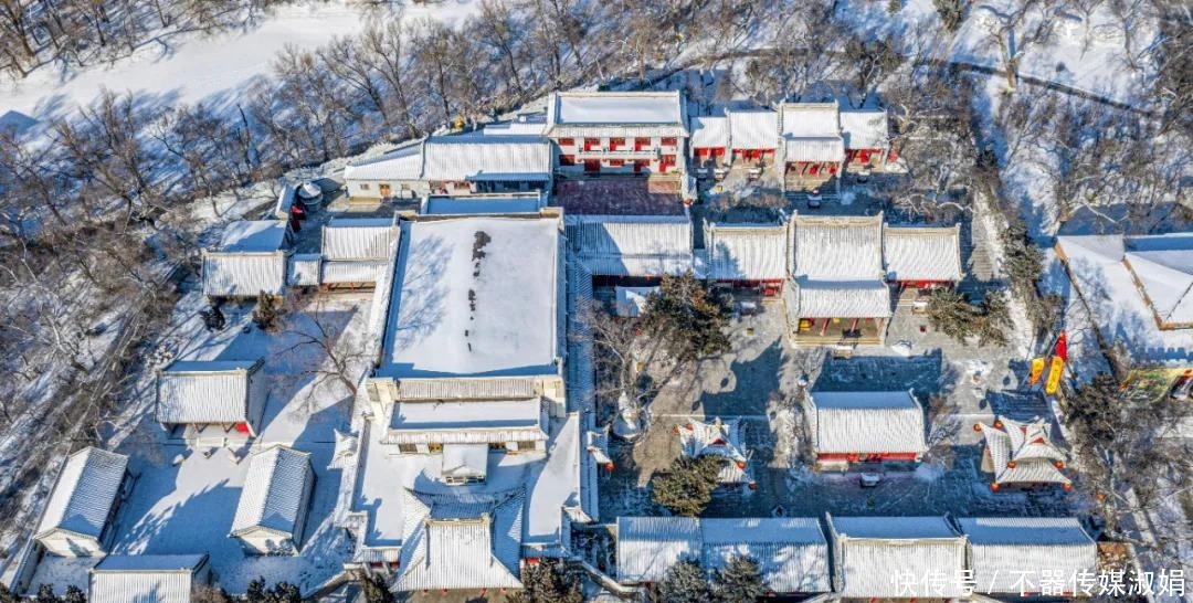 老年|雪后美景看鹤城