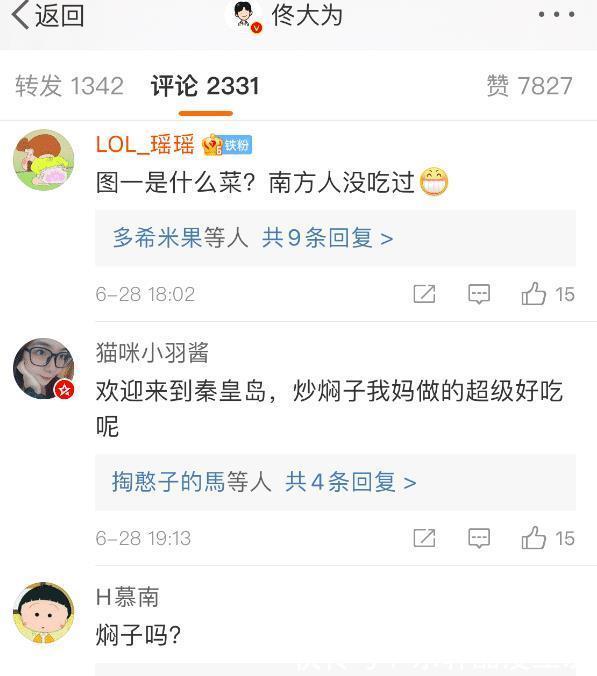 特色美食|佟大为晒东北特色美食，美味接地气，网友南方人没见过更没吃过