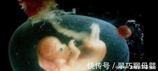 子宫|怀孕后几个月开始显怀,孕肚“时大时小”咋回事儿孕妈要了解