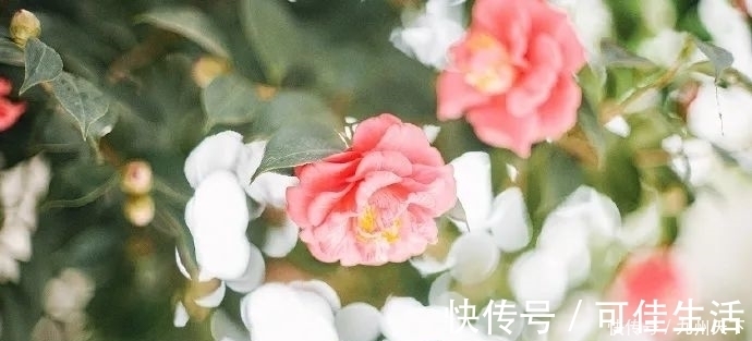 入睡困难|入睡难、容易醒、醒后疲惫?3个妙招,身心舒缓,享受高质量睡眠