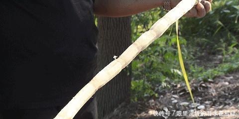 余杭人的心头好,即将上市!曾经风靡全国,很多人小时候都吃过!