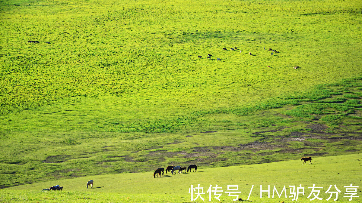 青海湖|推荐7月适合旅行的8个地方，一起去避暑吧