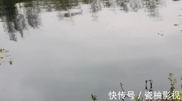 如何判断窝子里有没有鱼?这几个方法一定要学会!