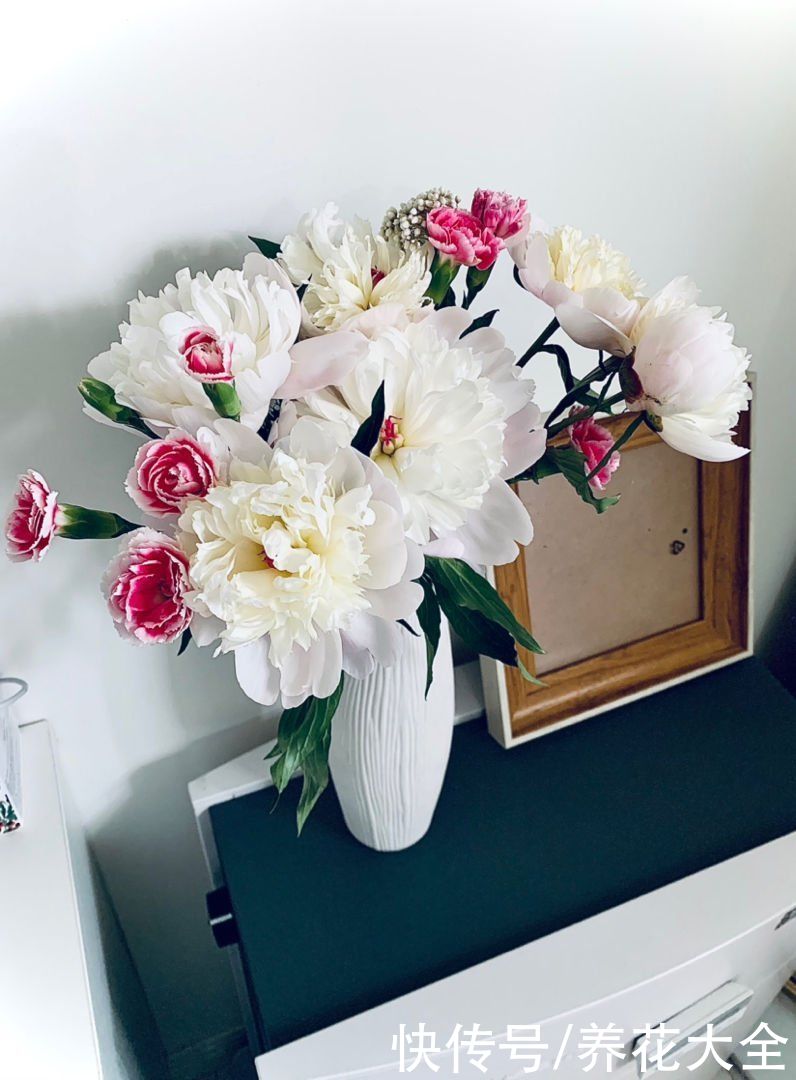 土农药|抓住5月的尾巴，赶紧养一株“芍药花神”，开花比碗还要大