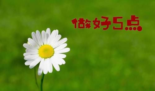 中考前50天，中考生做到这5点，重点高中任你挑