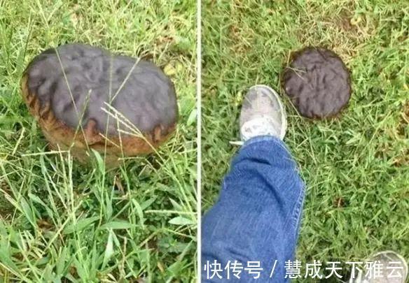 真相&24张欺骗你的眼睛照片,眼见也不一定为实!