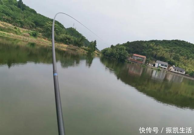 野钓|理想中的钓鱼VS现实中的钓鱼，新手看懵圈，老手看得扎心