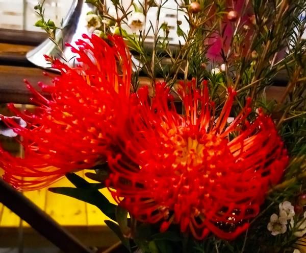 养花不能光靠“控水”预防烂根，从这几方面综合把控才能解决