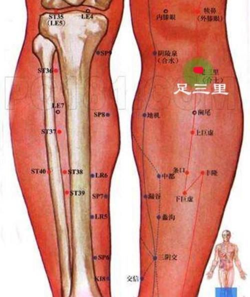 人体这五个穴位,不但养生关键时还有大用途,儿科健脾益胃