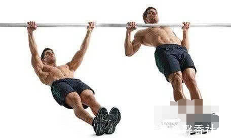 正手|做引体向上用正手和反手哪个更能有效锻炼肌肉听内行人说完，瞬间明白了