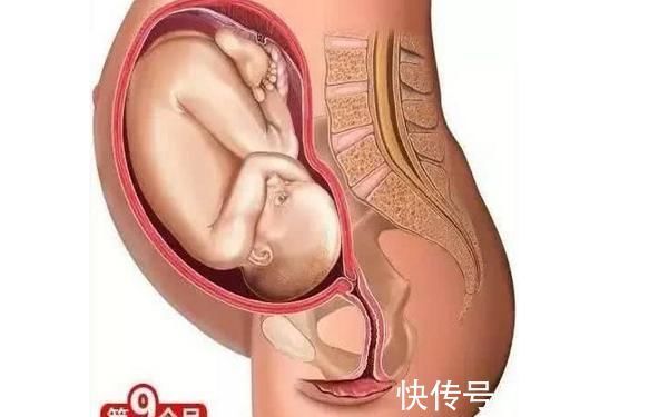 第四个月|胎儿形成的全过程，十张高清组图让你了解生命孕育，感叹妈妈伟大
