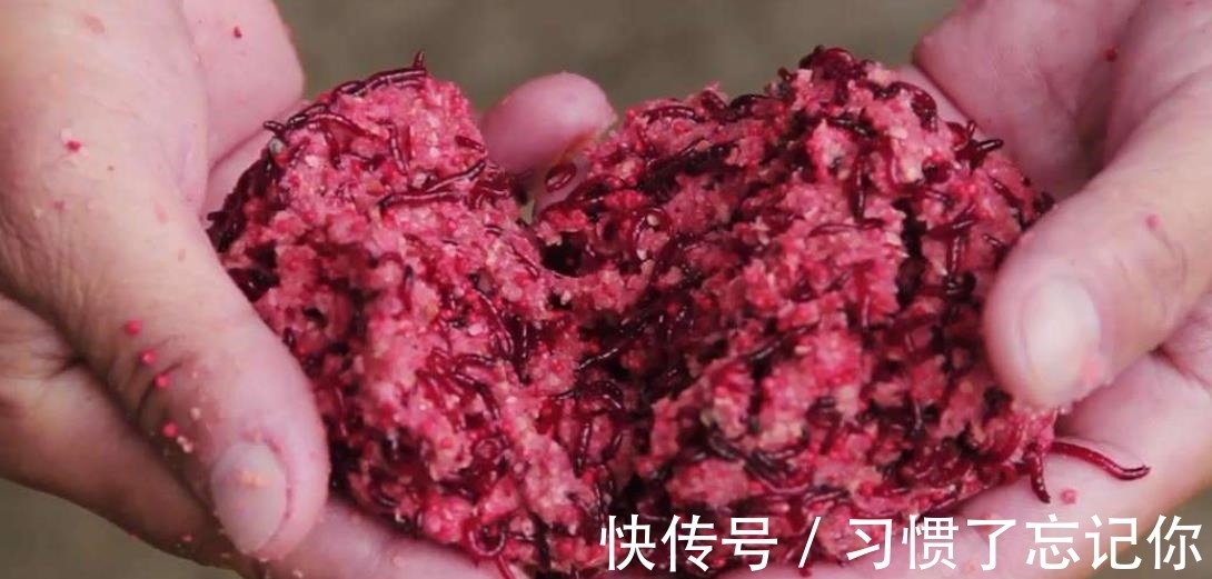 肉夹馍|加腥就能钓冬鱼?想简单了,下面3种方法才是正确的“加腥”方式