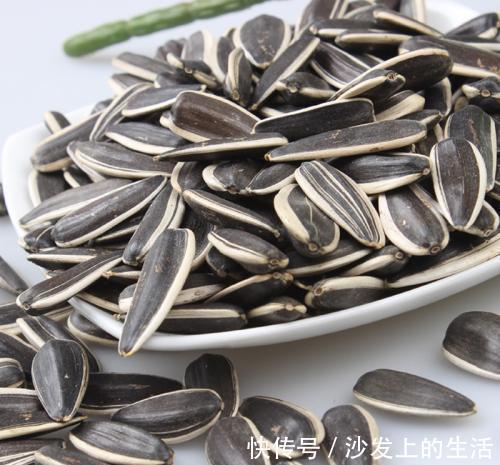 鱼肠|秋冬土里掺点它,君子兰,蟹爪兰,疯狂开花,叶子绿出油