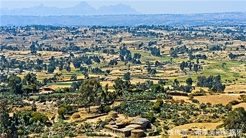 称为|非洲黑人这么多,为何只有埃塞俄比亚被称为美女之国?原因很简单