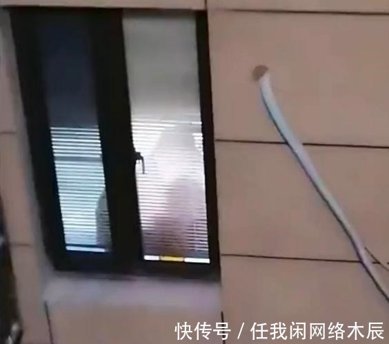 女子|江苏女子发现洗澡间百叶窗缺陷,自己可能在众目睽睽下洗过澡