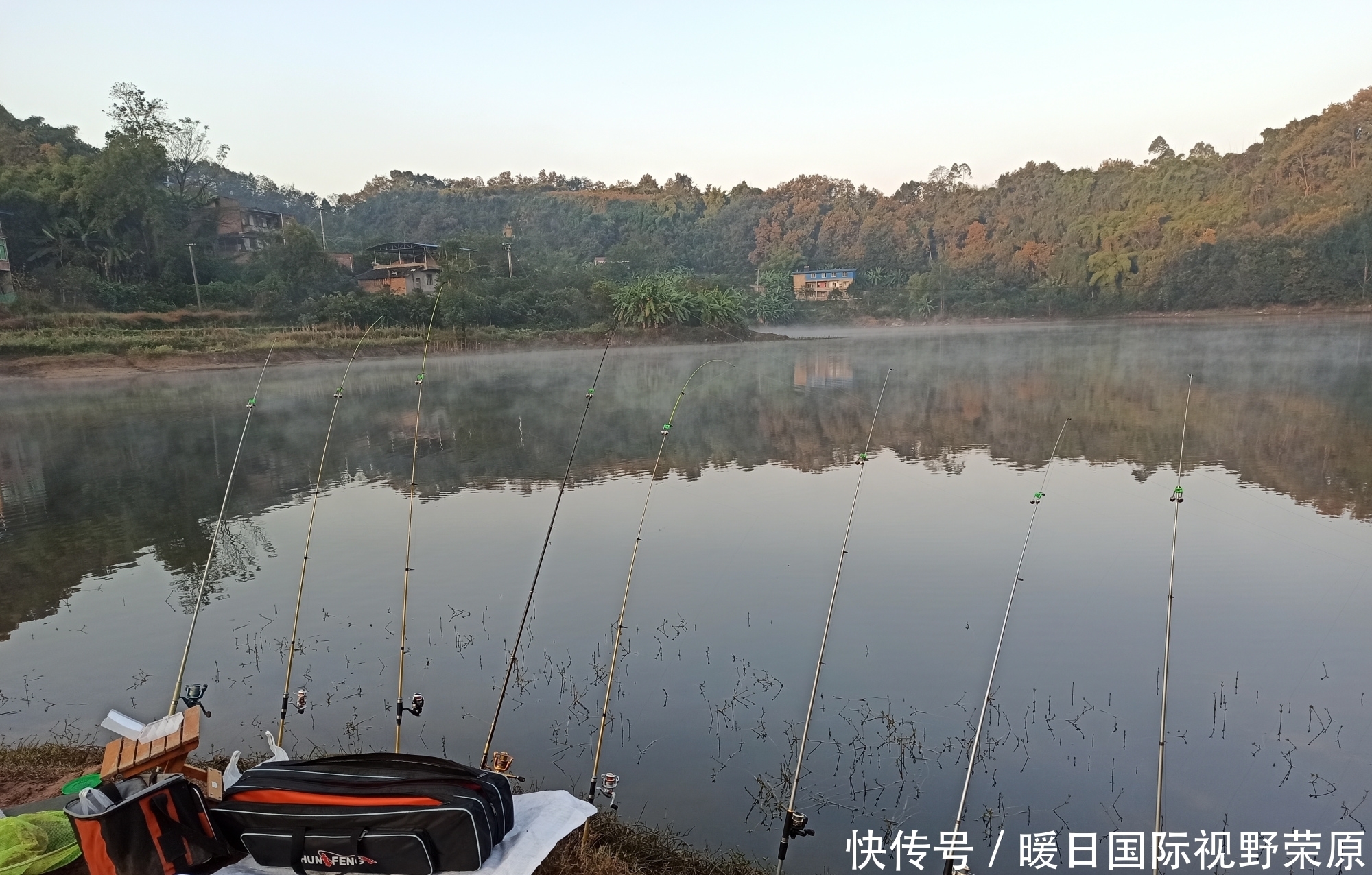 抄网|记录一场我去年野钓的奇遇,难不成鱼也有爱情?