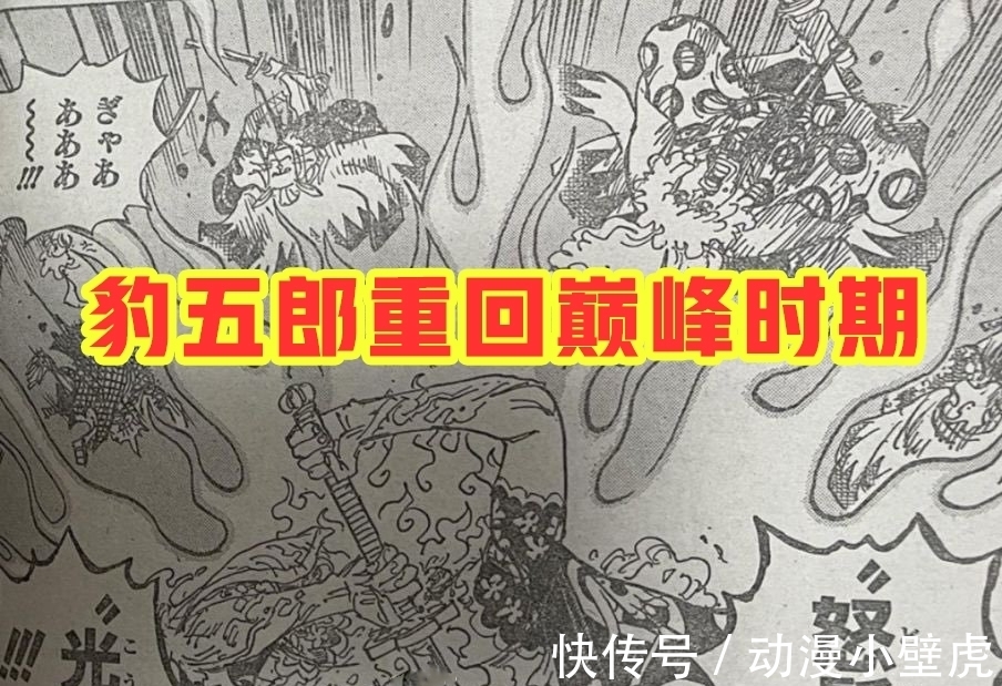 兔子|海贼王1006话:小马哥被烬斩落翅膀,豹五郎释放“生命归还”