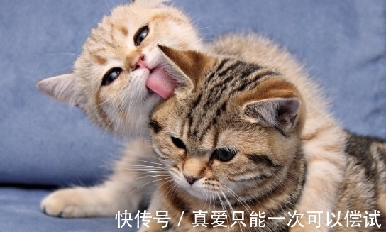 林徽因#钱钟书为何那么讨厌邻居林徽因?频频找她麻烦,杨绛都拦不住!