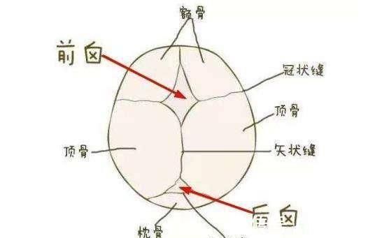 囟门|儿科医生囟门是宝宝健康晴雨表,4项误区,6种异常要牢记