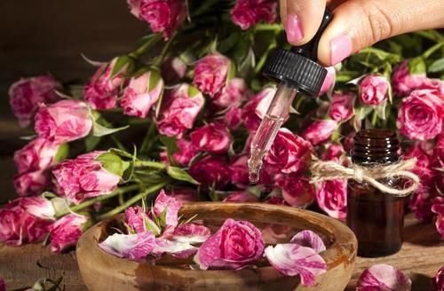 家庭问题|这种“液体黄金”中的玫瑰精油,你知道有什么作用吗?