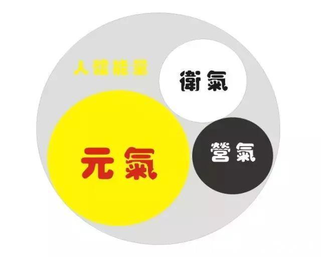 生命力|阳气产生于脾,根于肾,萌芽于肝,复阳才是康复的关键