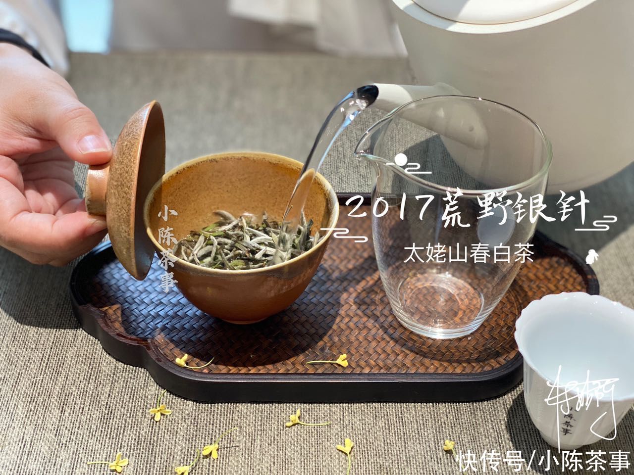 毫香|白毫银针存放多年,毫香会转化成巧克力味,你被这样套路过吗?