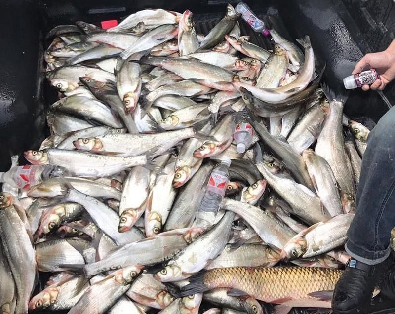 钓鱼人最痛恨的泥鳅党，被罚！装备全没收，真是大快人心！