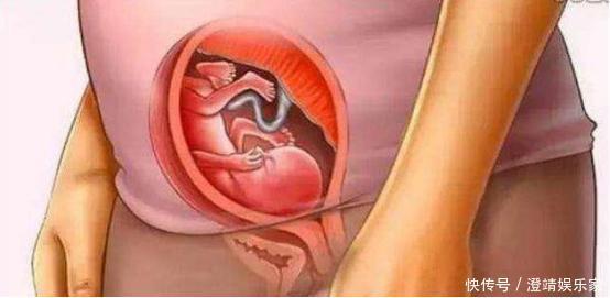 宝宝是怎么被慢慢孕育出来的,十张过程图,一切来之不易