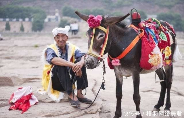 鄙视链|俗语:驴肉香,马肉臭,打死不吃骡子肉,啥意思?蕴含老祖宗智慧