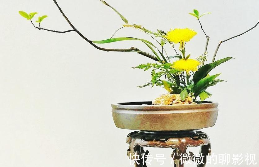 你对一盆二景三几架怎么看，为什么盆在景的前面，说说我的想法