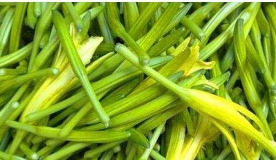 常吃|秋季养生要会吃,常吃3物,清热解毒,延缓衰老,预防疾病