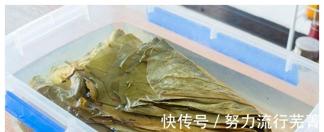 板栗|天热,糯米这样做才好吃,分享7种做法,入口软糯鲜甜,清爽不腻!