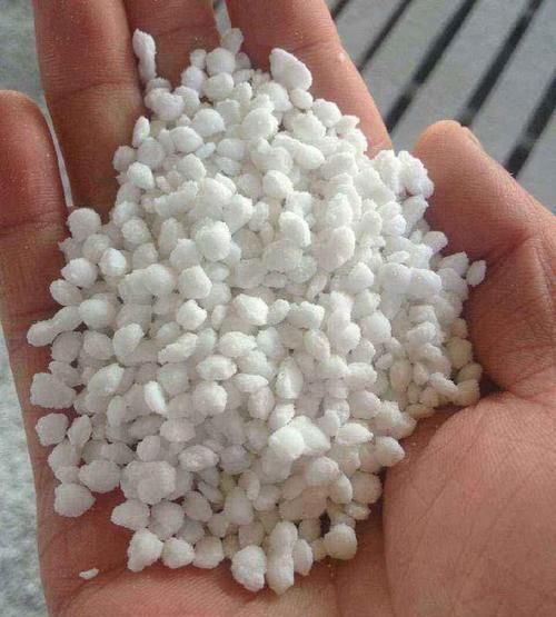  叶片|养绿萝不爆盆，用几粒这个，绿叶子挤满盆，大如手掌，蹭蹭长