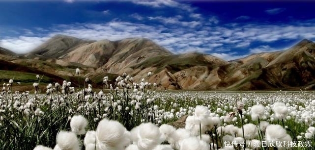 中国市场|同样是耐克的挑衅,22年前姚明霸气硬怼,如今易建联被骂没有骨气