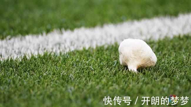 拉米|決戰(zhàn)夜前法國全隊(duì)必干件事 迷信 別說還真管用