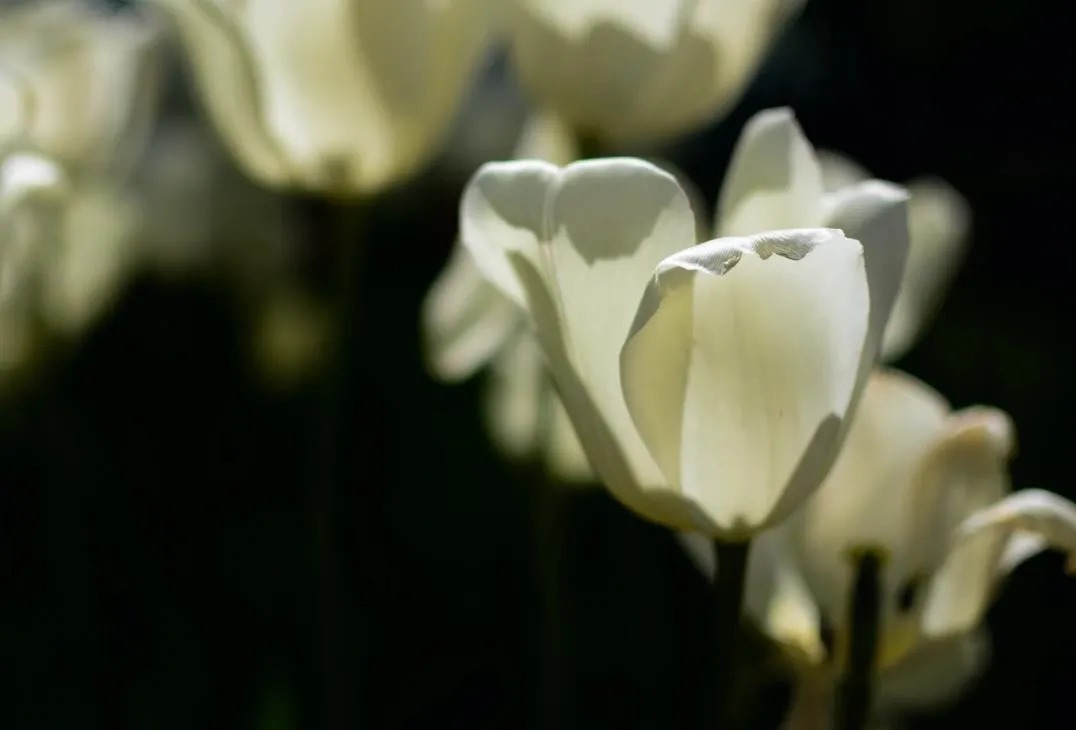 心情好坏&岁月,两个字,写起来简单,听起来幽远