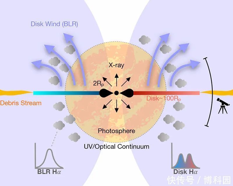 学圣克鲁斯 当恒星被黑洞吞噬时，潮汐力会将其撕碎，产生明亮的辐射耀斑！