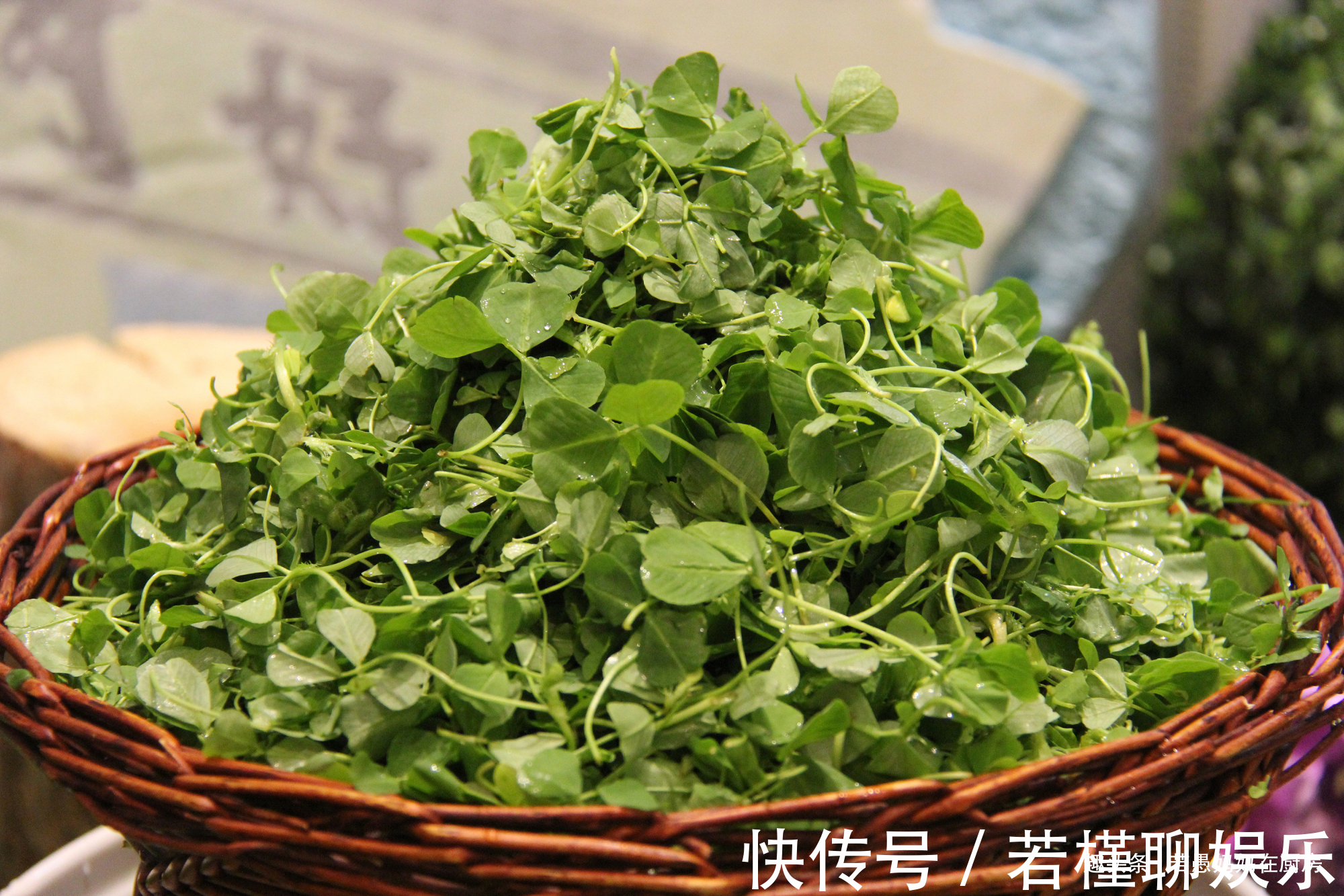 若愚|春季必吃的8种野菜，鲜嫩美味有营养，错过又得等一年